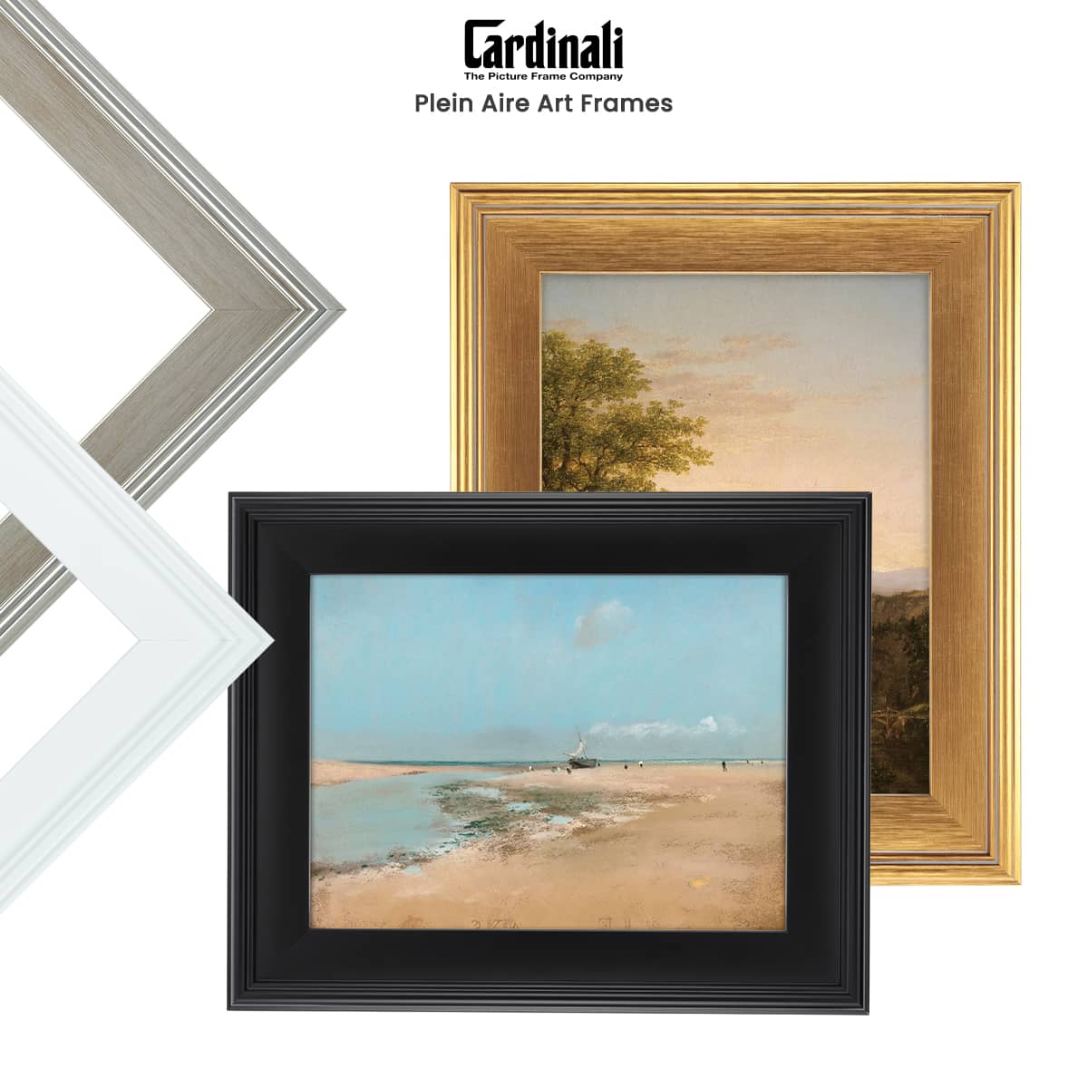 Cardinali Plein Aire Frames
