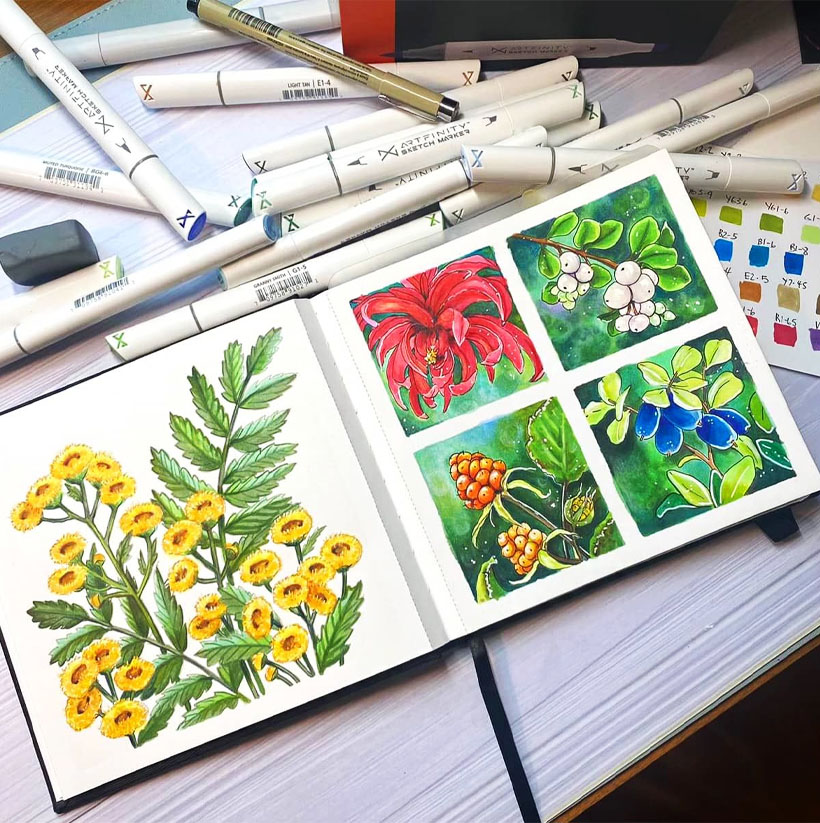 Level Up Your Art with Alcohol Markers Pro Tips for Professional