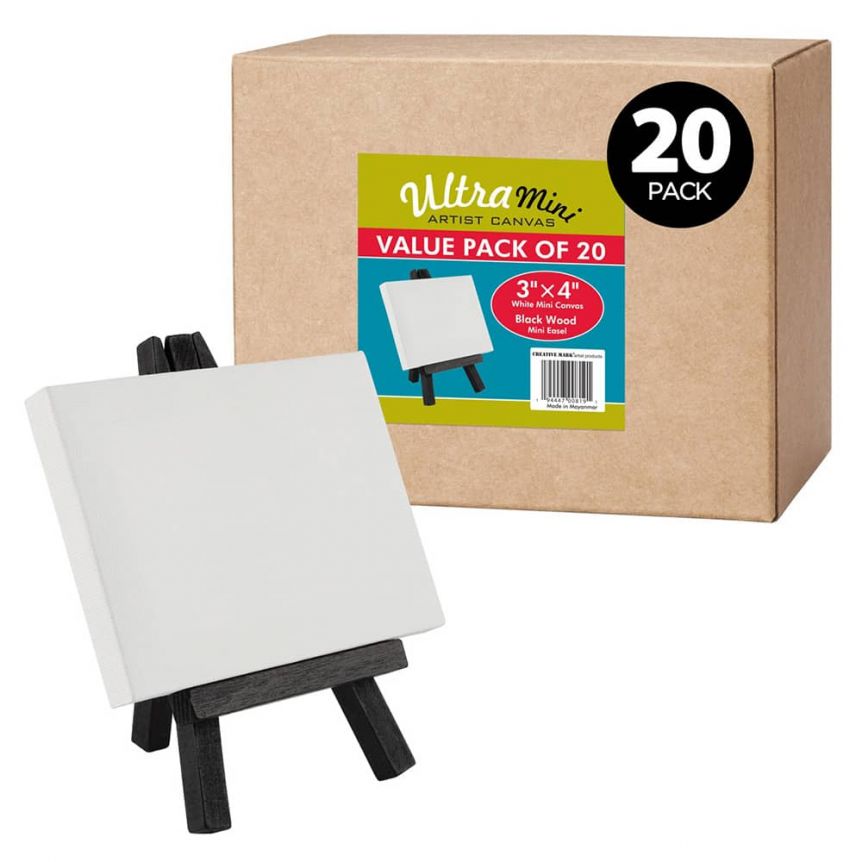 Box of 20 Ultra-Mini White Canvas 3x4 w/ Black Easel Set