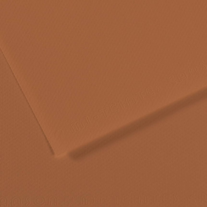 #187 Cinnamon Canson Mi-Teintes Paper 10pk 19x25 in  