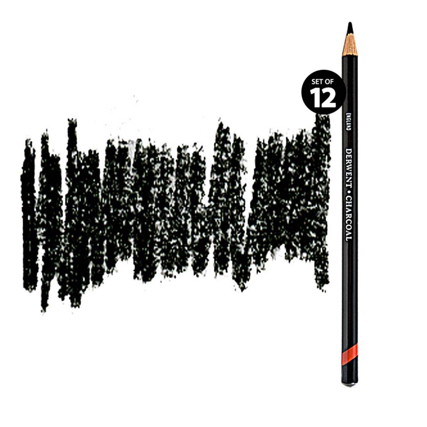 https://www.jerrysartarama.com/media/catalog/product/cache/1ed84fc5c90a0b69e5179e47db6d0739/d/e/derwent-charcoal-pencil-dark-set12-55957.jpg