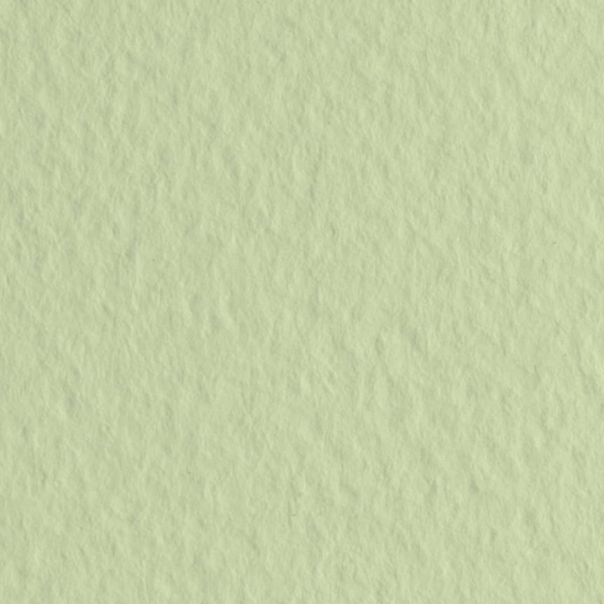 Fabriano Tiziano Sheets (10-Pack) - Light Green, 20"x26"