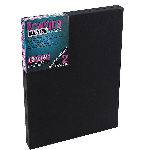 Practica Black 12x16" Stretched Canvas 2 Pack