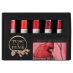 Tusc & Pine Oil Color Red Colors Starter Set of 5, 40ml Tubes