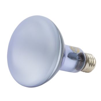 Halogen Reflector Bulbs