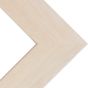 Phoenix 1" Wood Frame with acrylic glazing and cardboard backing 18x24" - White Wash