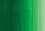 Holbein Duo Aqua Water-Soluble Oil Cadmium Green 40ml Elite