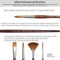 Professional Brushes, Created to the highest standards