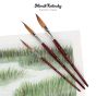 Professional Brushes - Created to the highest standards