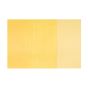 Naples Yellow Fine Artists Oil Paint by Charvin made primarily with poppy oil 