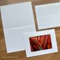 Blank Photo Frame Die-Cut window trifold cards + Envelopes
