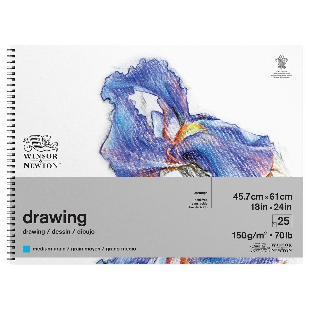 Winsor & Newton Drawing Pad - 18 x 24, Medium