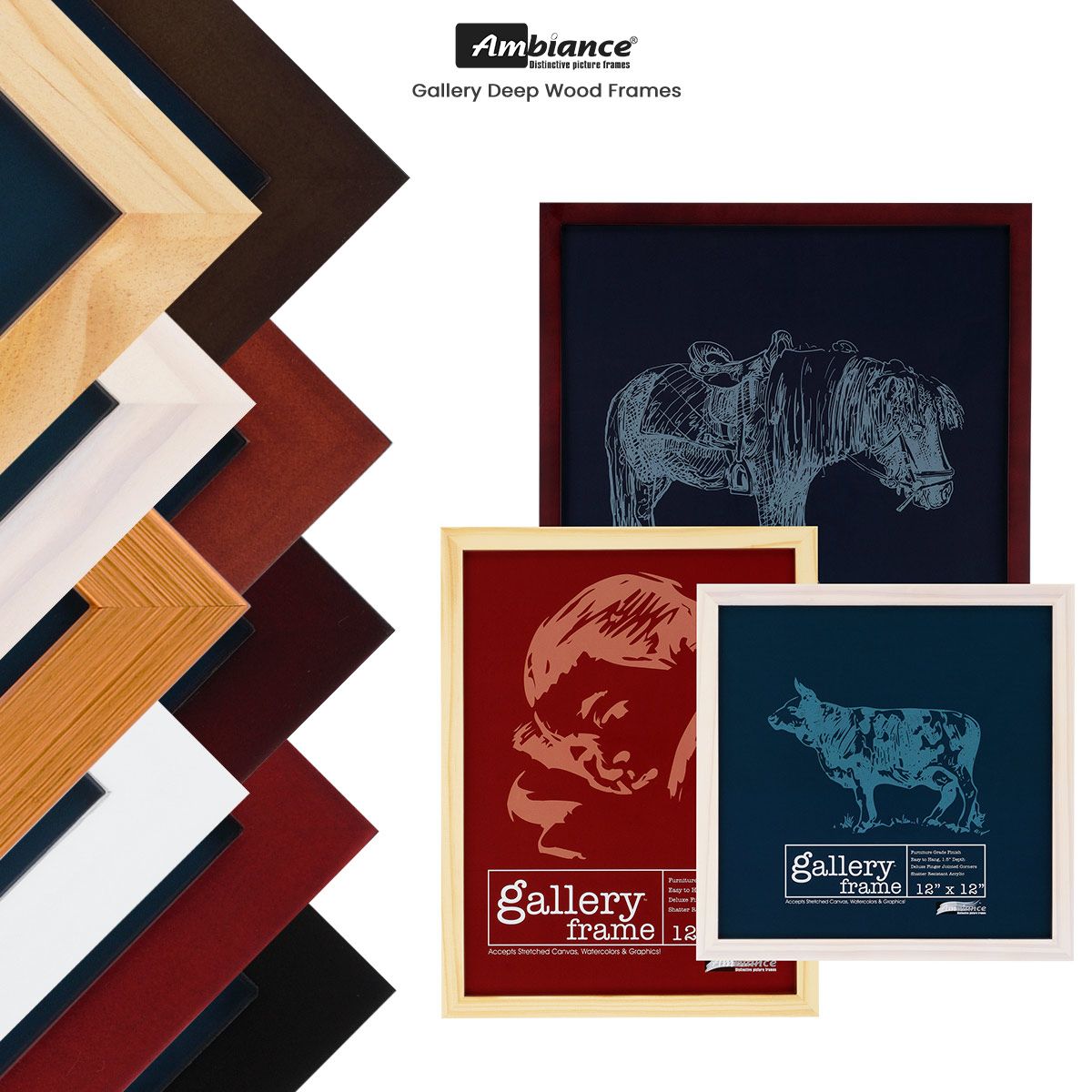 Ambiance Gallery 1-1/2 Deep Wood Frames