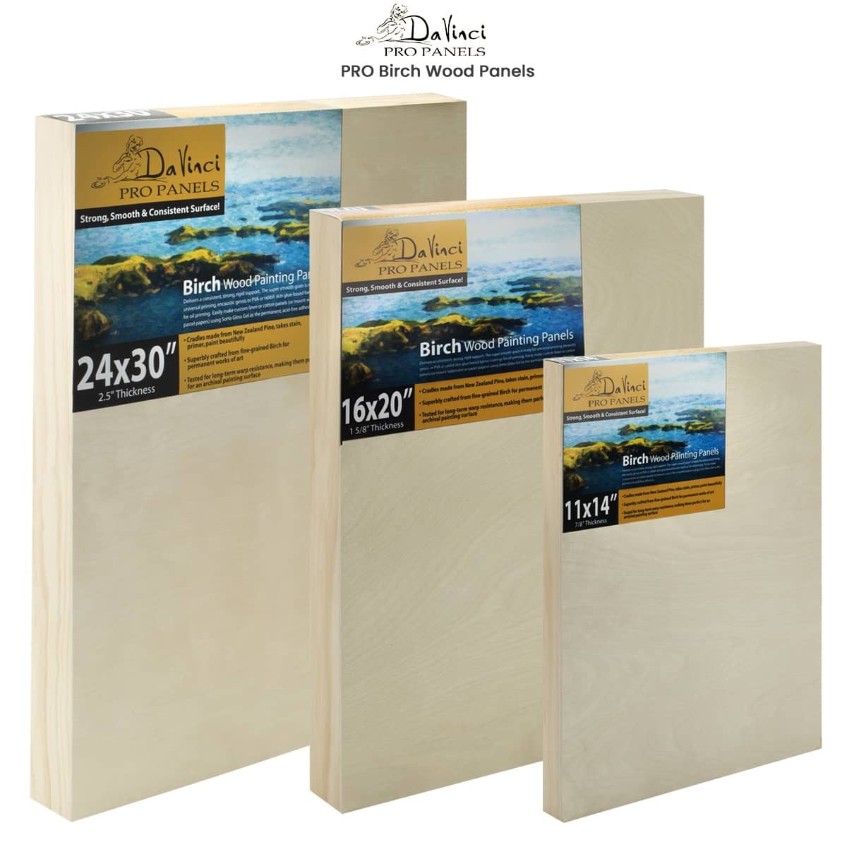 Painting Canvas Panels 16x20 inch 6 Pack, Flat Canvases for Painting 8oz  Triple Primed 100% Cotton Acid-Free Blank Art Paint Canvas for Acrylic Oil  Watercolor Tempera Paints : : Home
