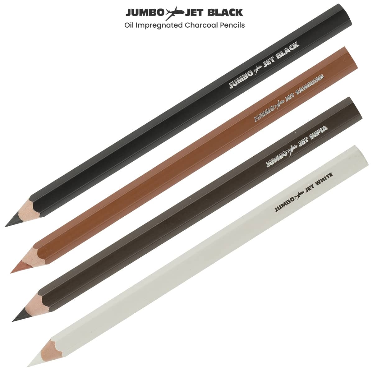 PANDAFLY Professional Charcoal Pencils Drawing Set - 8 Pieces Super Soft, Soft, Medium and Hard Charcoal Pencils for Drawing, Sketching, Shading, Arti