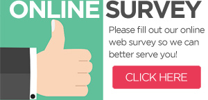 Web survey