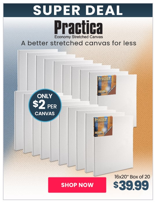 Practica Stretched Cotton Canvas 16x20, Box of 20